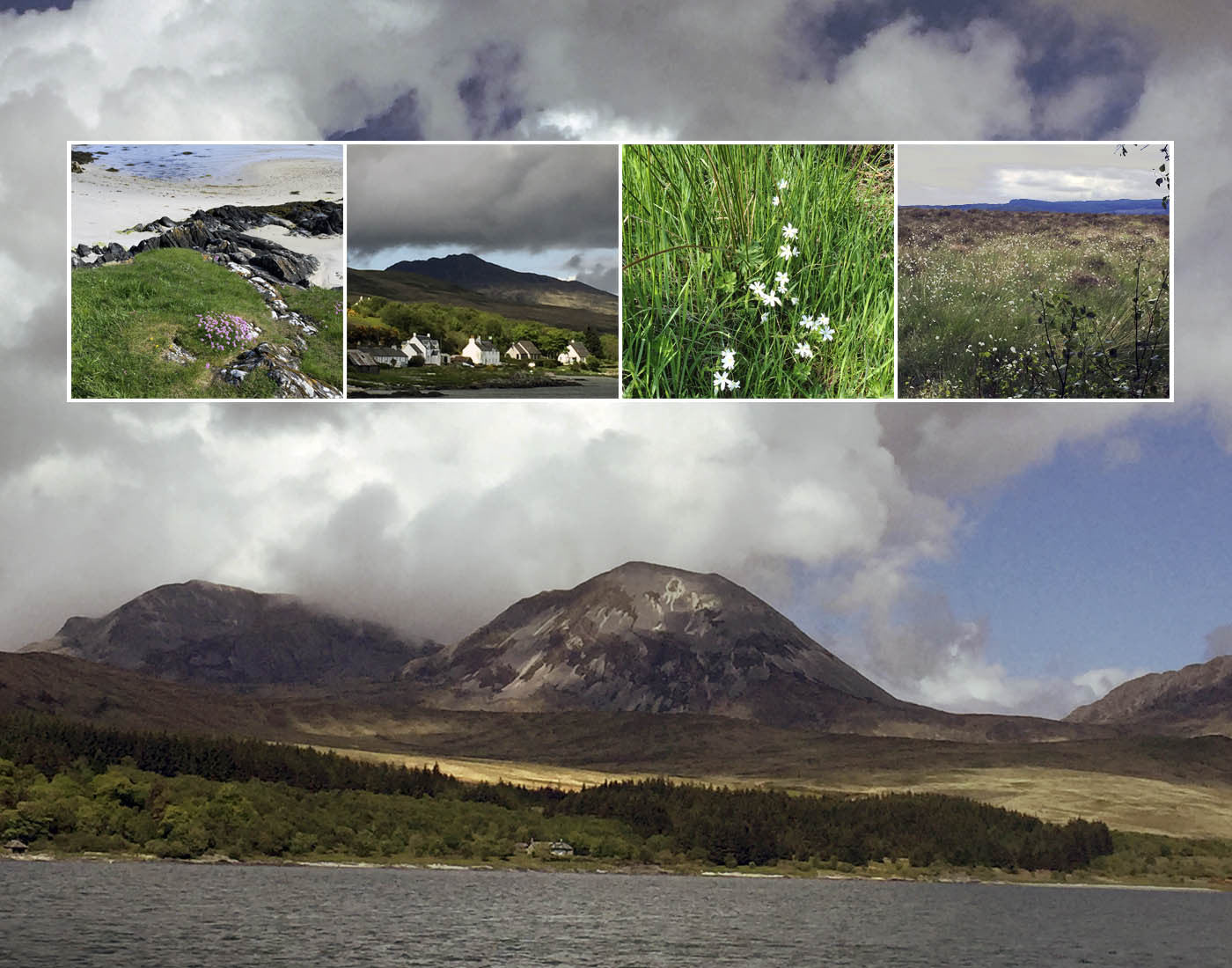 Jennifer’s Field Notes From Scotland